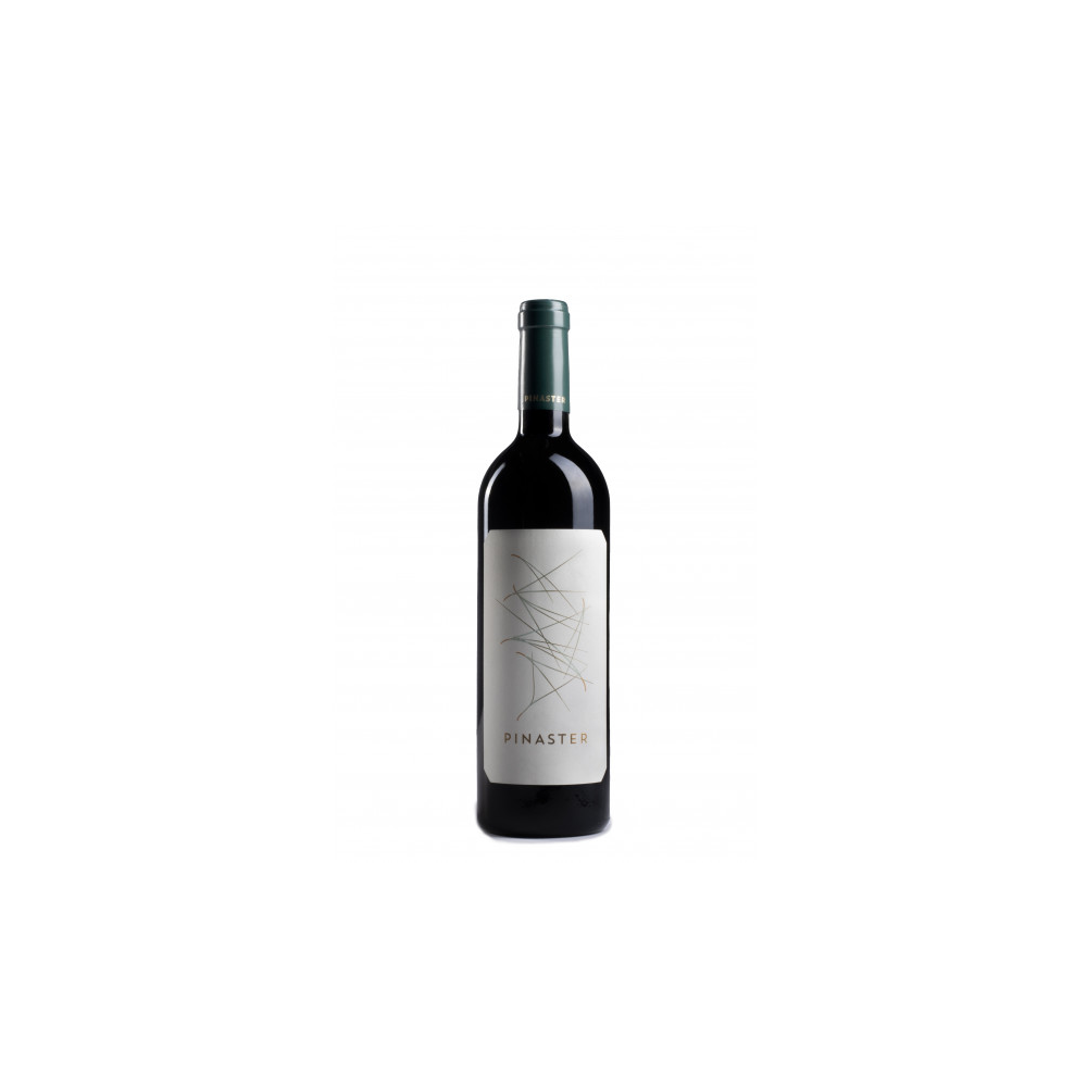 Prieto Pariente Pinaster Tempranillo